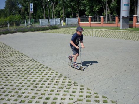 100_1022.jpg